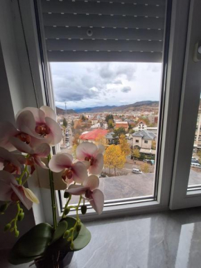 Panoramic Central Apartment
